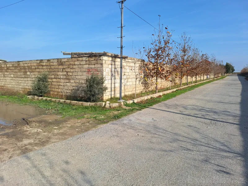 Torpaq satılır — Binə, Bakı - şəkil 8