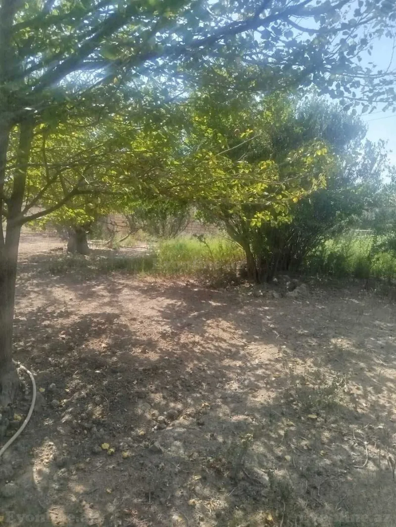 Torpaq Lökbatan Satılır