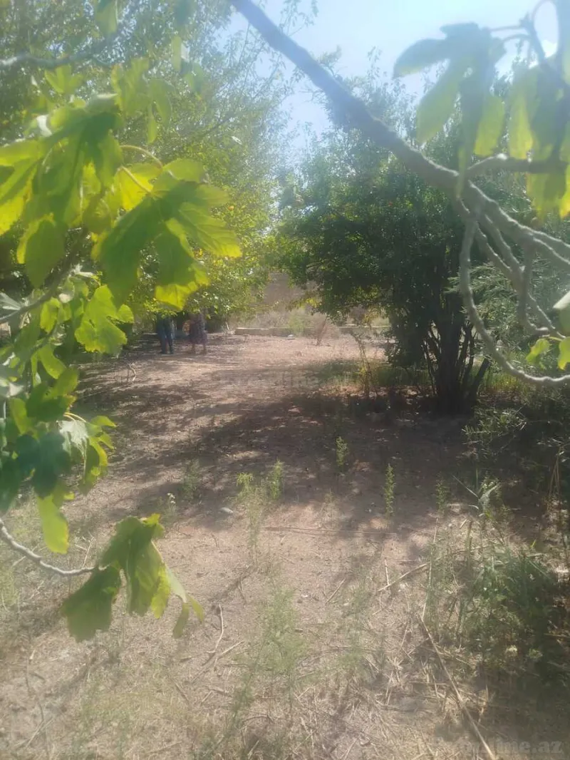 Torpaq satılır — Lökbatan, Bakı - şəkil 3
