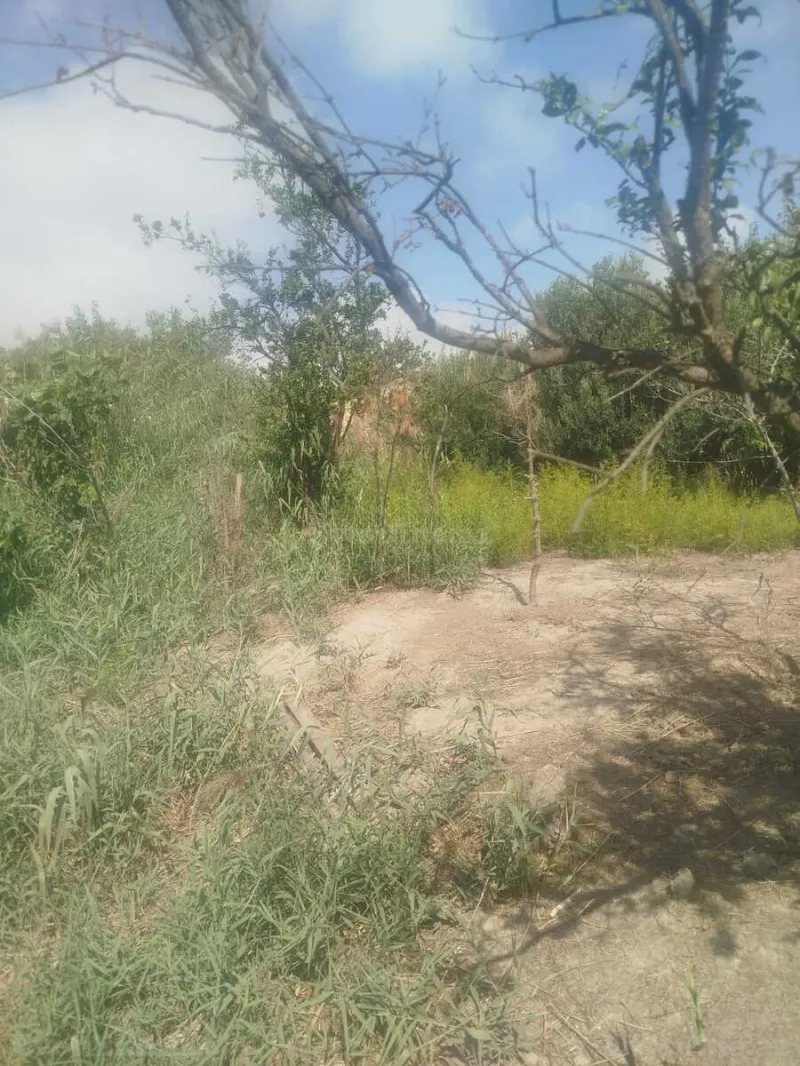Torpaq satılır — Lökbatan, Bakı - şəkil 8