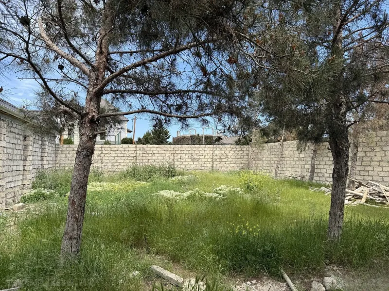 Torpaq satılır — Mərdəkan, Bakı - şəkil 7