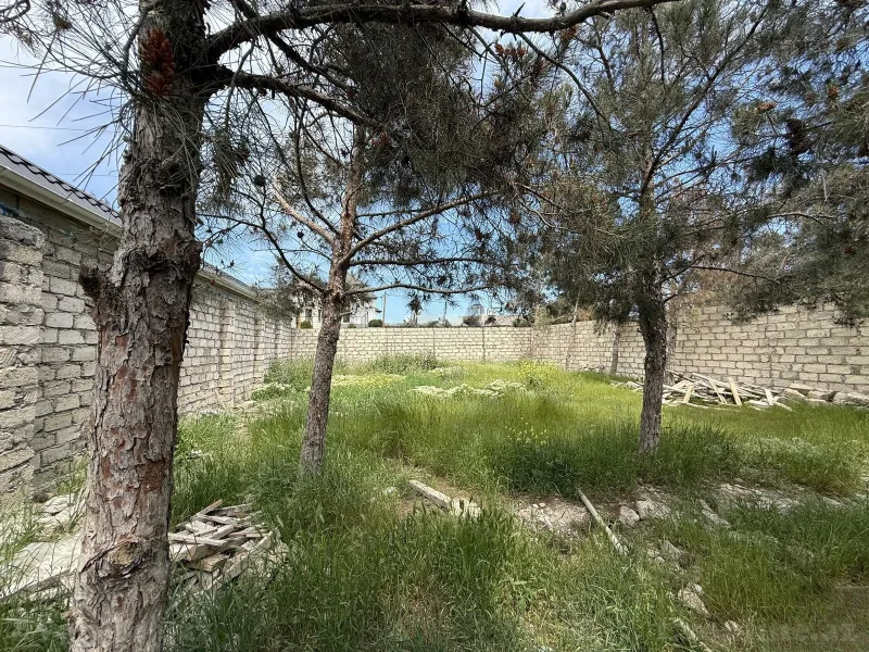 Torpaq satılır — Mərdəkan, Bakı - şəkil 8