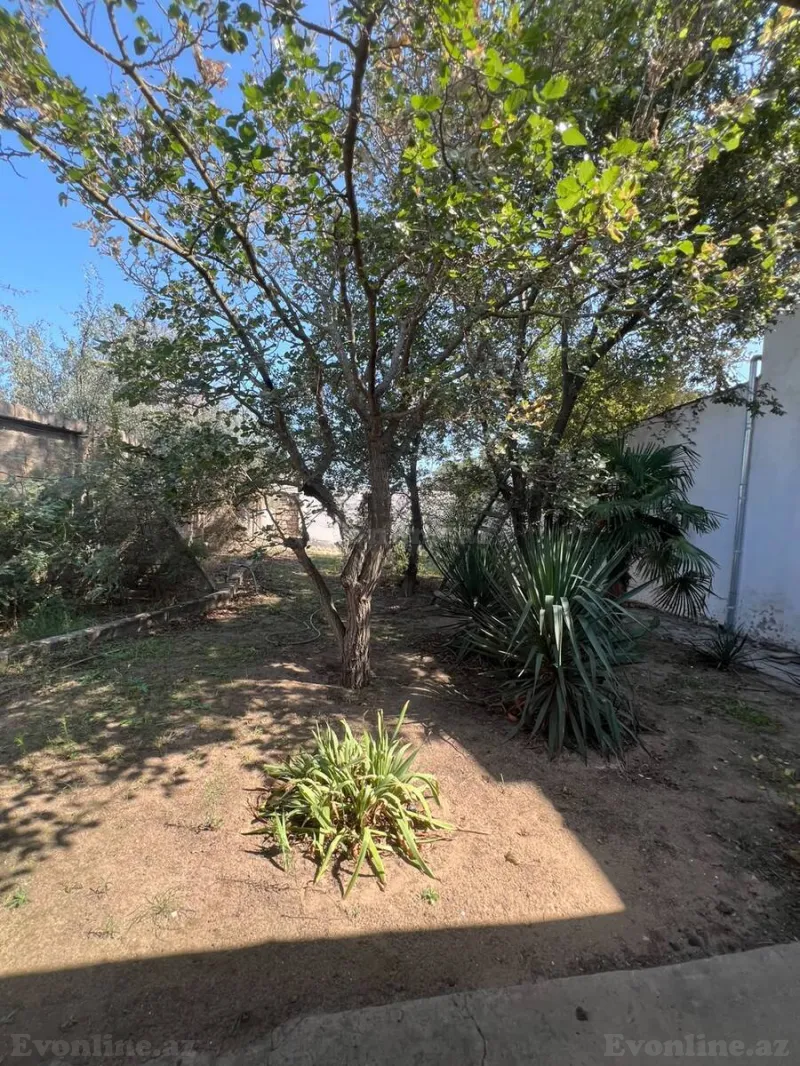 4 otaqlı həyət evi kirayə verilir — Buzovna, Bakı - şəkil 23
