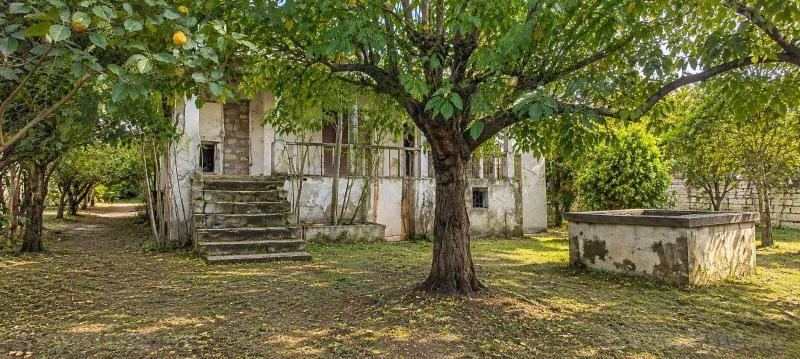 Torpaq satılır — Bilgəh, Bakı