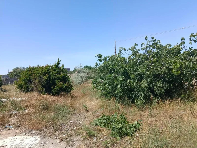 Torpaq Nardaran Satılır