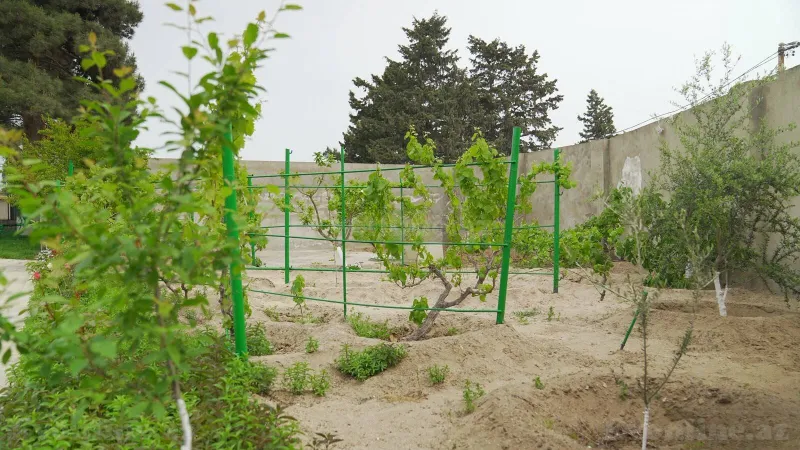 5 otaqlı həyət evi kirayə verilir — Bilgəh, Bakı - şəkil 22