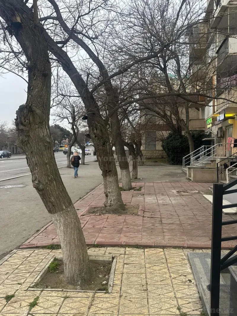 Obyekt kirayə verilir — Elmlər Akademiyası m., Bakı - şəkil 5