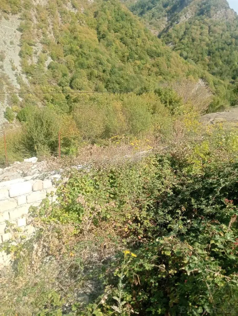 Torpaq satılır — İsmayıllı - şəkil 5