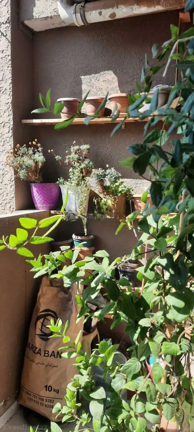 3 otaqlı yeni tikili mənzil satılır — Abşeron r., Bakı - şəkil 10