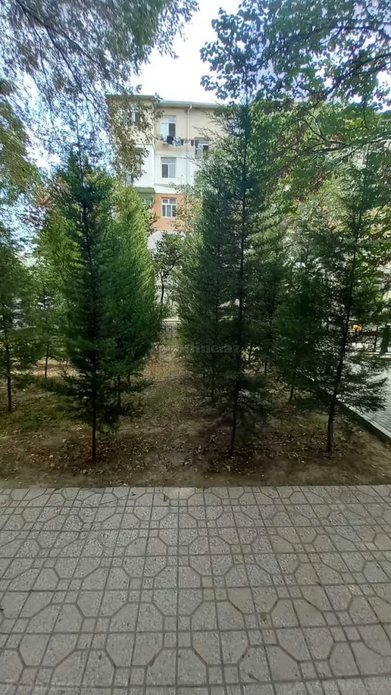 Obyekt satılır — 4-cü mikrorayon, Bakı - şəkil 10