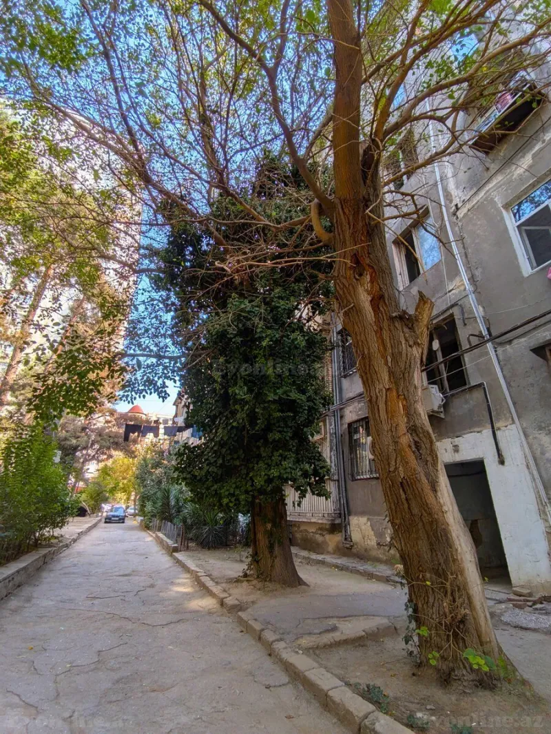 3 otaqlı köhnə tikili mənzil satılır — 20 Yanvar m., Bakı - şəkil 7