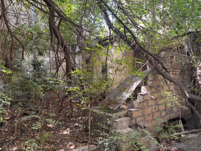 Torpaq satılır — 28 May m., Bakı - şəkil 7