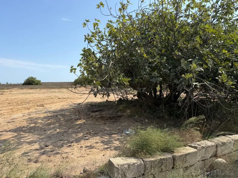 Torpaq satılır — Nardaran, Bakı - şəkil 2