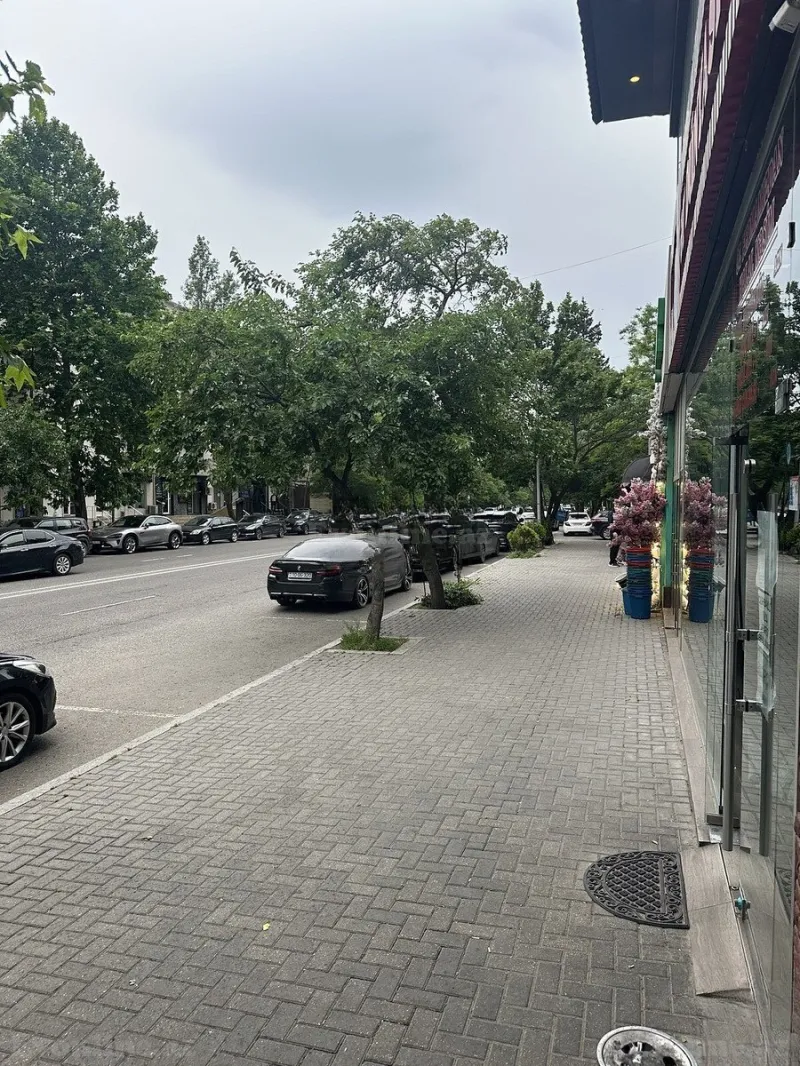 Obyekt kirayə verilir — Elmlər Akademiyası m., Bakı - şəkil 14