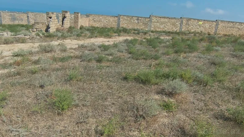 Torpaq Novxanı Satılır