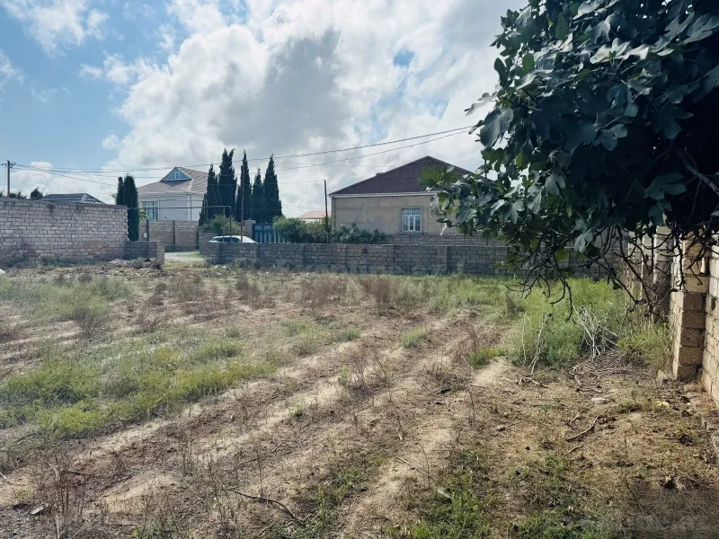 Torpaq satılır — Buzovna, Bakı - şəkil 7
