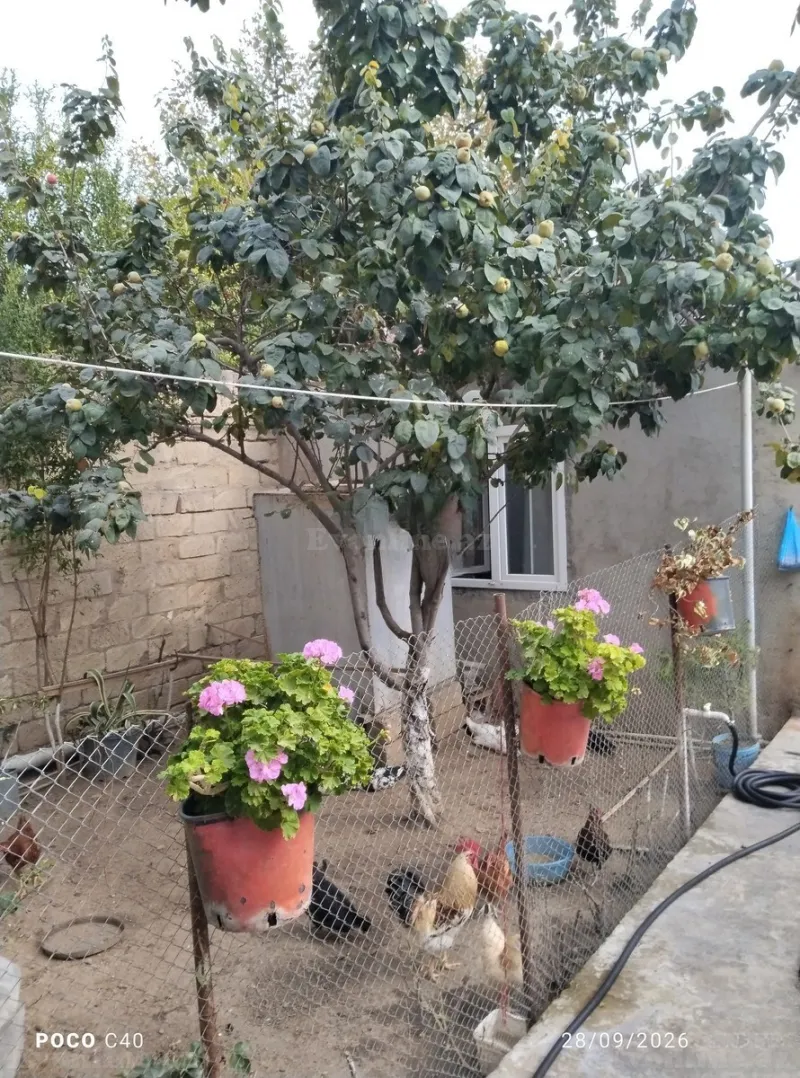 6 otaqlı həyət evi satılır — Ramana, Bakı - şəkil 6