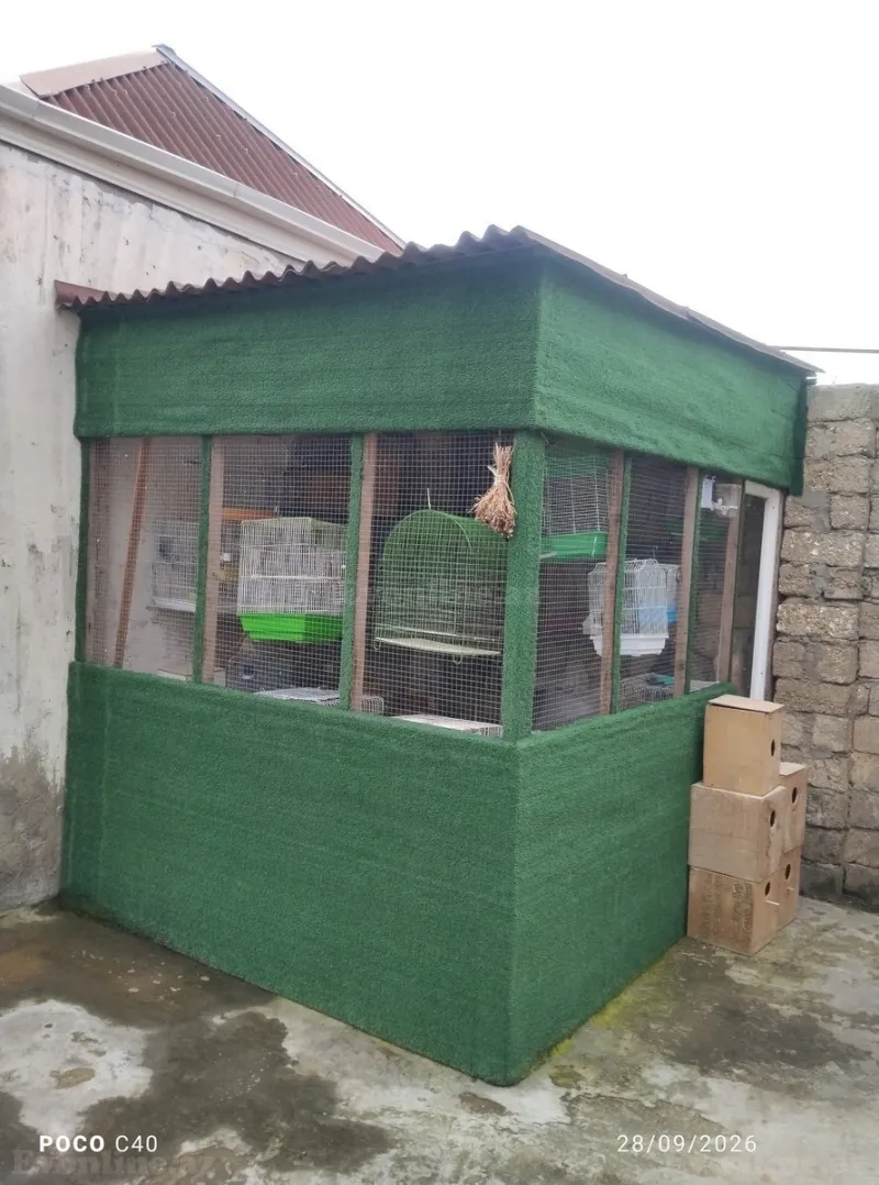 6 otaqlı həyət evi satılır — Ramana, Bakı - şəkil 14