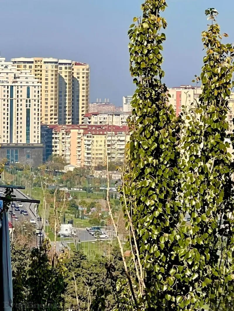 2 otaqlı köhnə tikili mənzil kirayə verilir — Yasamal r., Bakı - şəkil 12