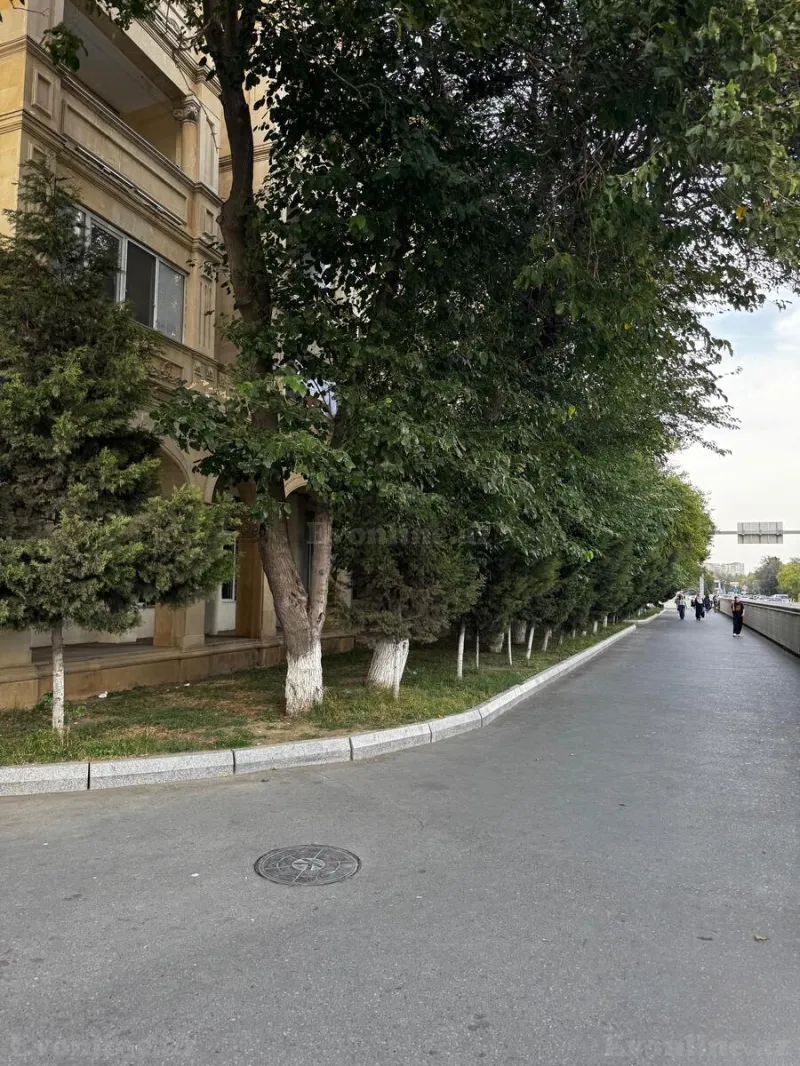 2 otaqlı köhnə tikili mənzil kirayə verilir — Gənclik m., Bakı - şəkil 9