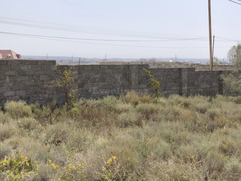 Torpaq satılır — Saray, Bakı - şəkil 2