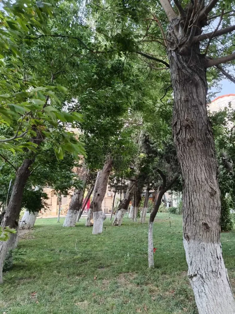 3 otaqlı yeni tikili mənzil satılır — Gənclik m., Bakı - şəkil 11