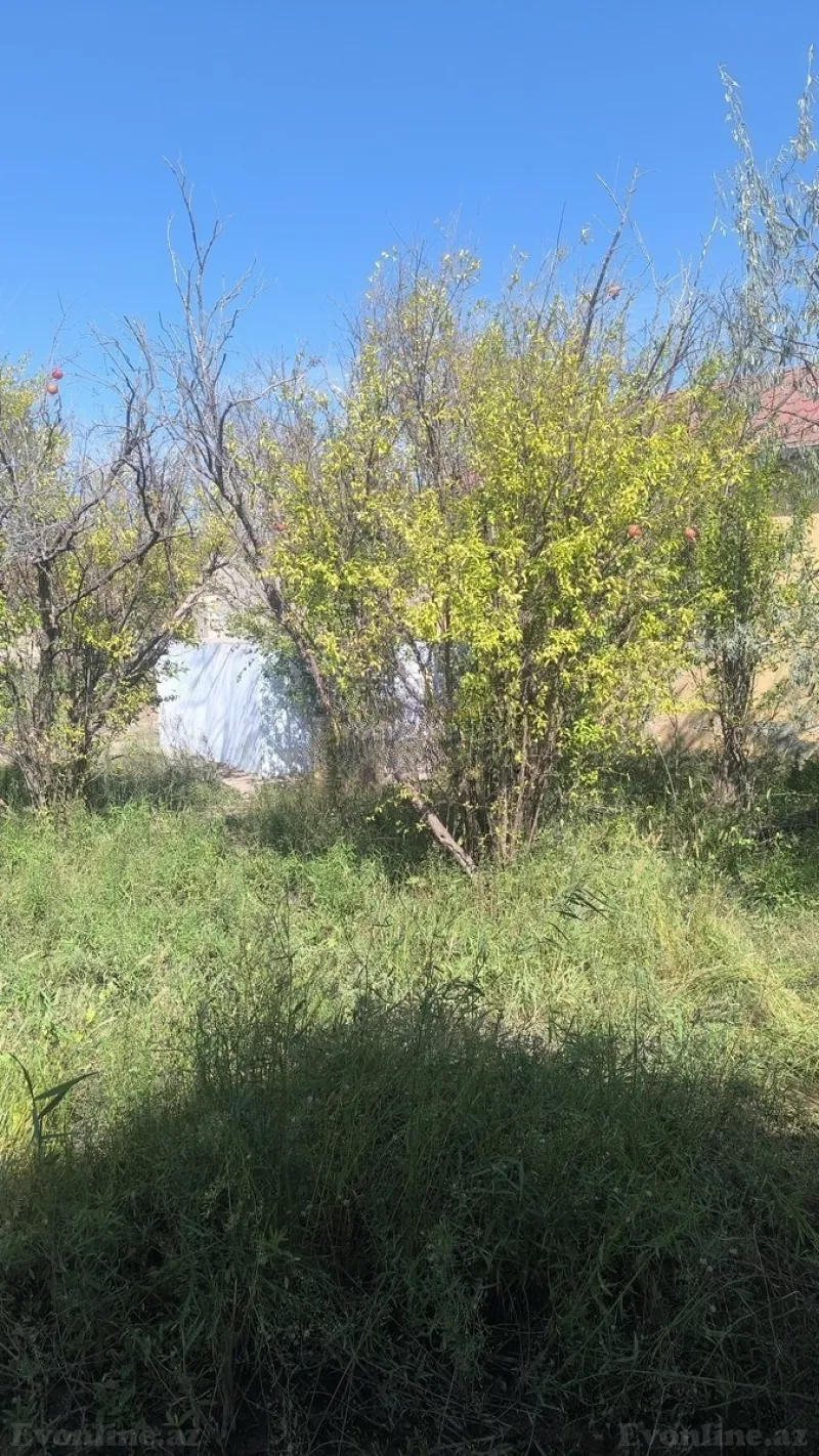 1 otaqlı həyət evi satılır — Novxanı, Bakı - şəkil 8