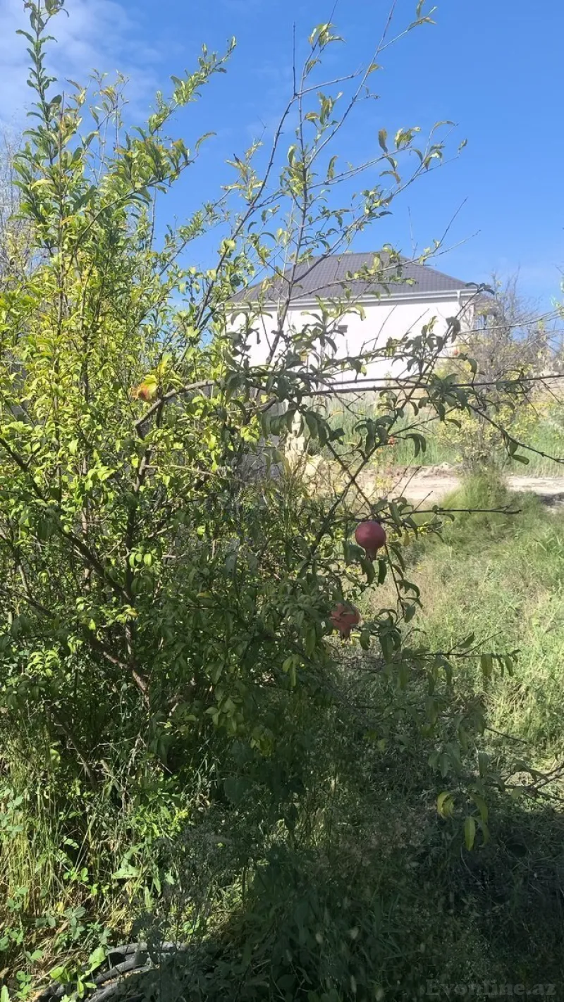 1 otaqlı həyət evi satılır — Novxanı, Bakı - şəkil 9