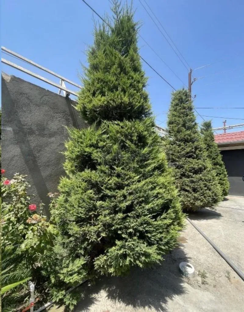4 otaqlı həyət evi satılır — Novxanı, Bakı - şəkil 14