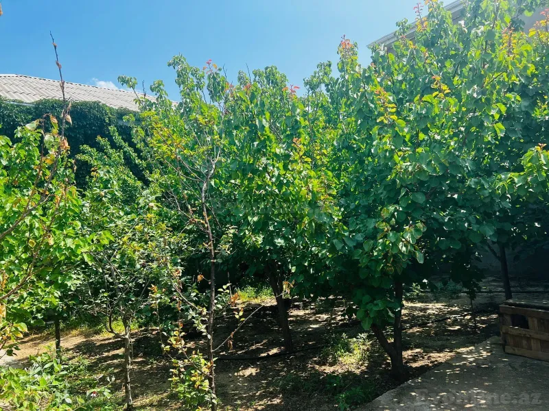 8 otaqlı həyət evi satılır — Novxanı, Bakı - şəkil 4