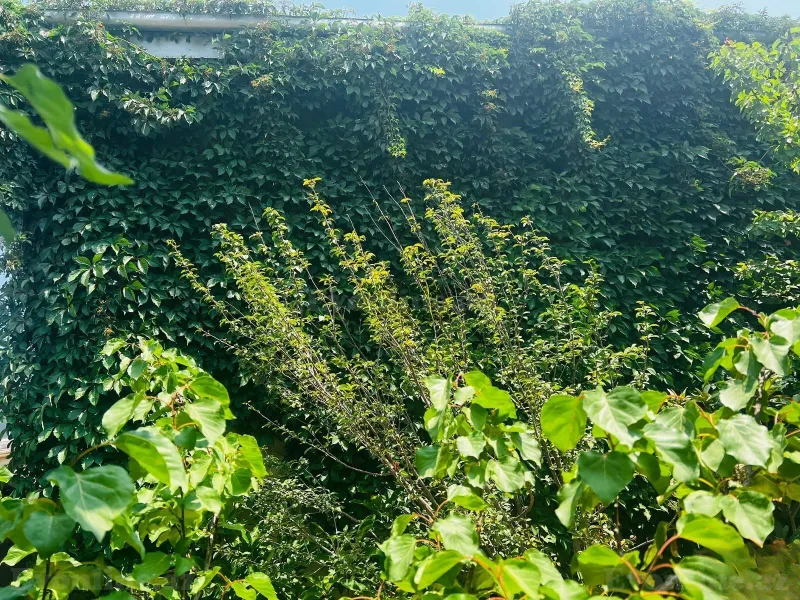 8 otaqlı həyət evi satılır — Novxanı, Bakı - şəkil 5