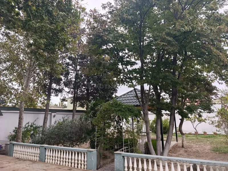 6 otaqlı Həyət evi 240 m² Novxanı Satılır