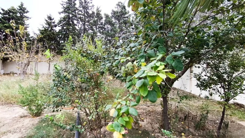 6 otaqlı həyət evi satılır — Mərdəkan, Bakı - şəkil 11