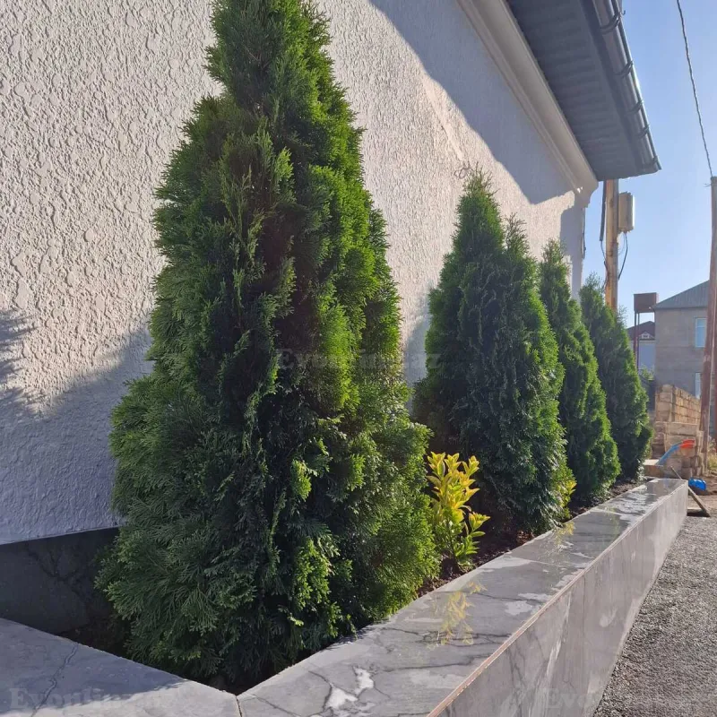 7 otaqlı həyət evi satılır — Badamdar, Bakı - şəkil 27