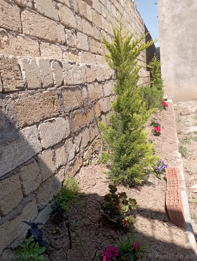 5 otaqlı həyət evi satılır — Qobu, Bakı - şəkil 3