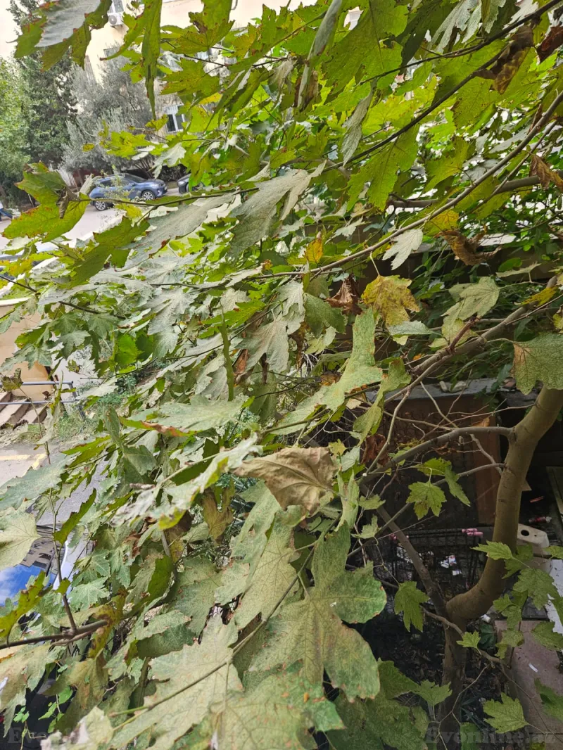 2 otaqlı yeni tikili mənzil satılır — Xırdalan - şəkil 16
