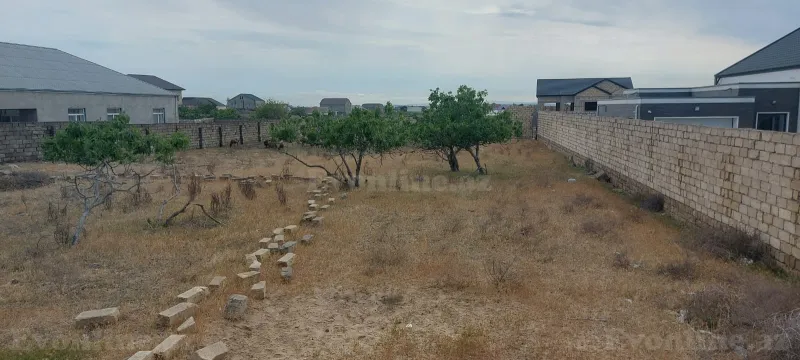 24 sot torpaq satılır, Bakı, Sabunçu r., Kürdəxanı