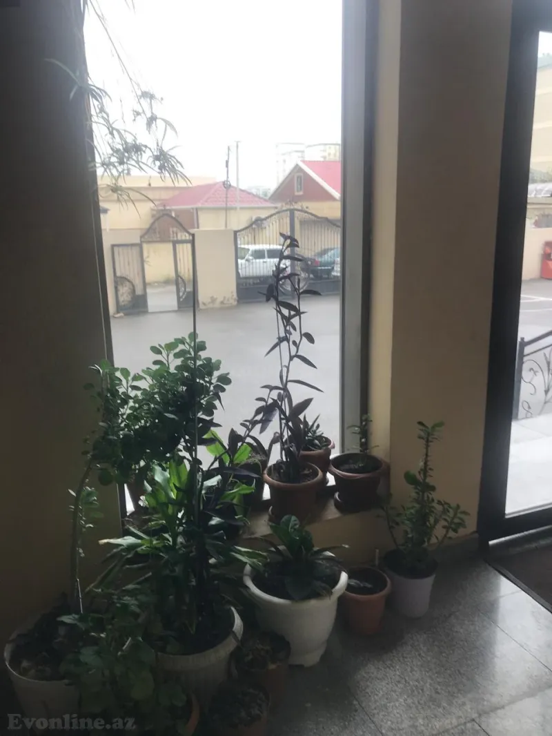 3 otaqlı yeni tikili mənzil satılır — Yasamal, Bakı - şəkil 2