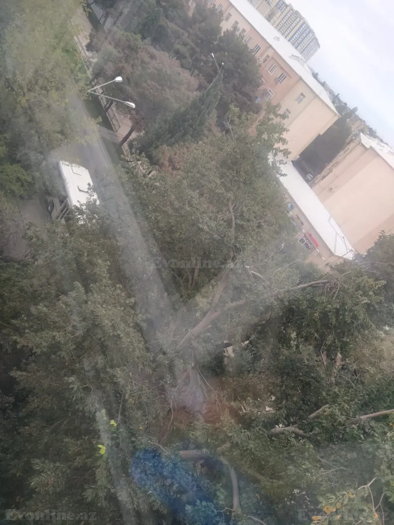 1 otaqlı köhnə tikili mənzil satılır — Bakıxanov, Bakı - şəkil 10