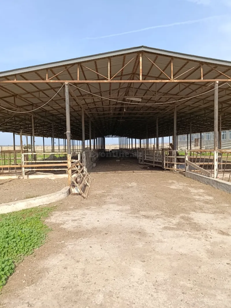 Obyekt kirayə verilir — Məhəmmədi, Bakı - şəkil 3