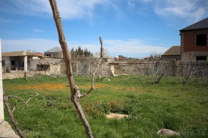 Torpaq satılır — Albalılıq, Bakı - şəkil 6
