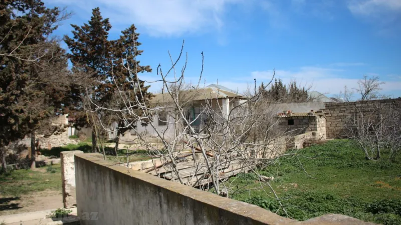 Torpaq satılır — Albalılıq, Bakı - şəkil 10