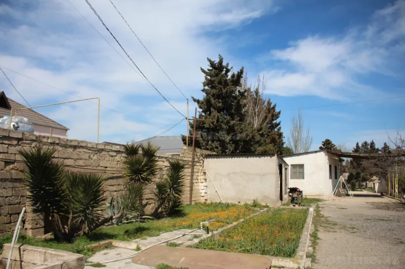 Torpaq satılır — Albalılıq, Bakı - şəkil 14