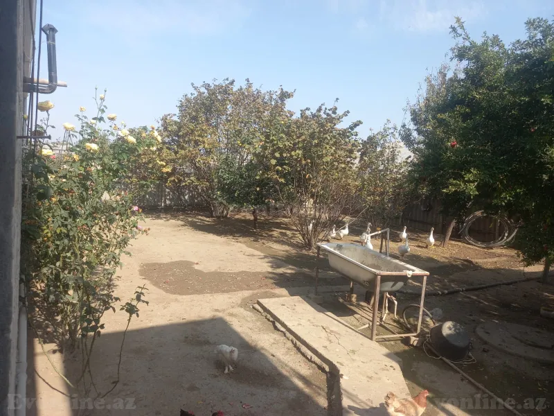 8 otaqlı həyət evi satılır — Şəmkir - şəkil 16