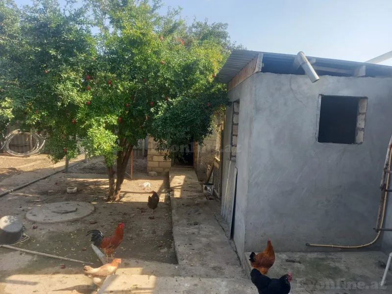 8 otaqlı həyət evi satılır — Şəmkir - şəkil 17
