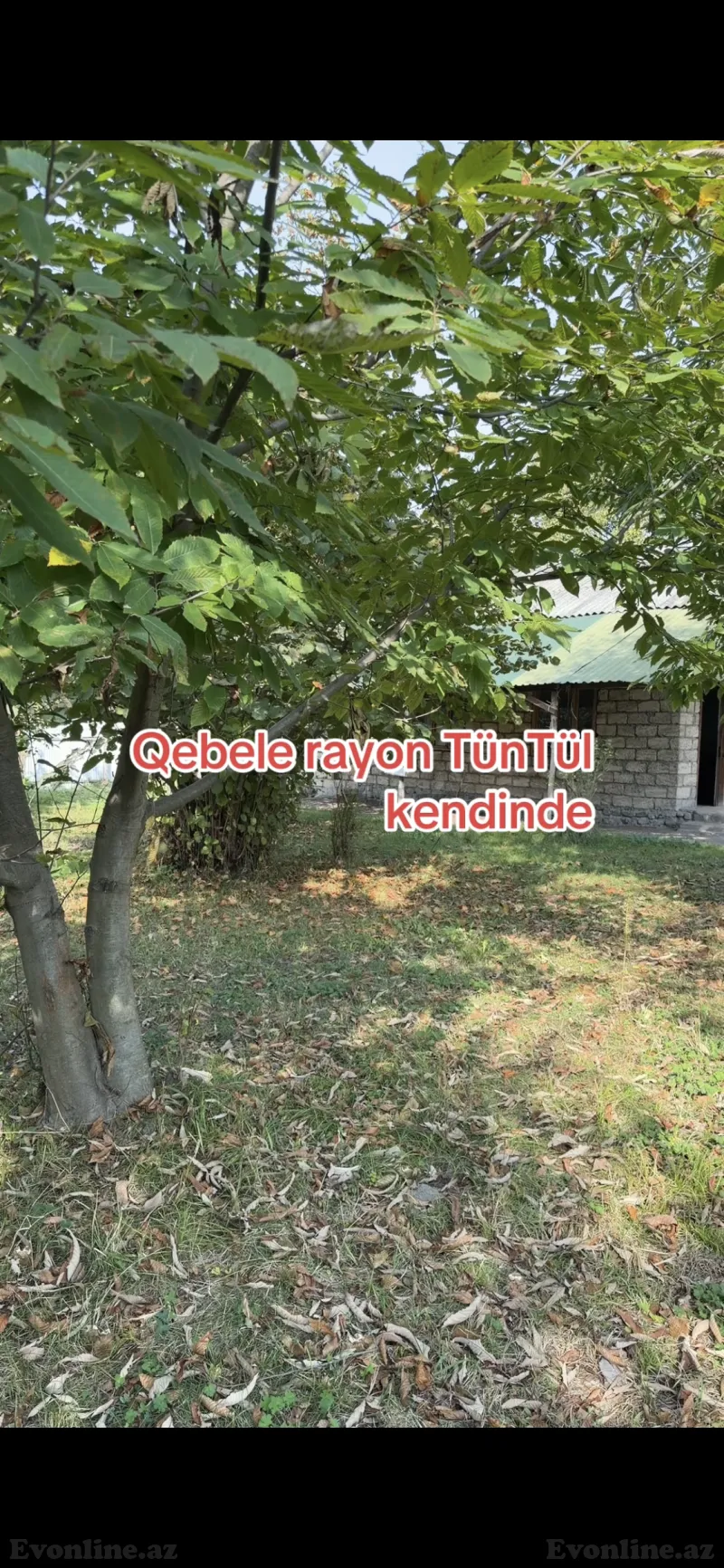 Torpaq satılır — Qəbələ