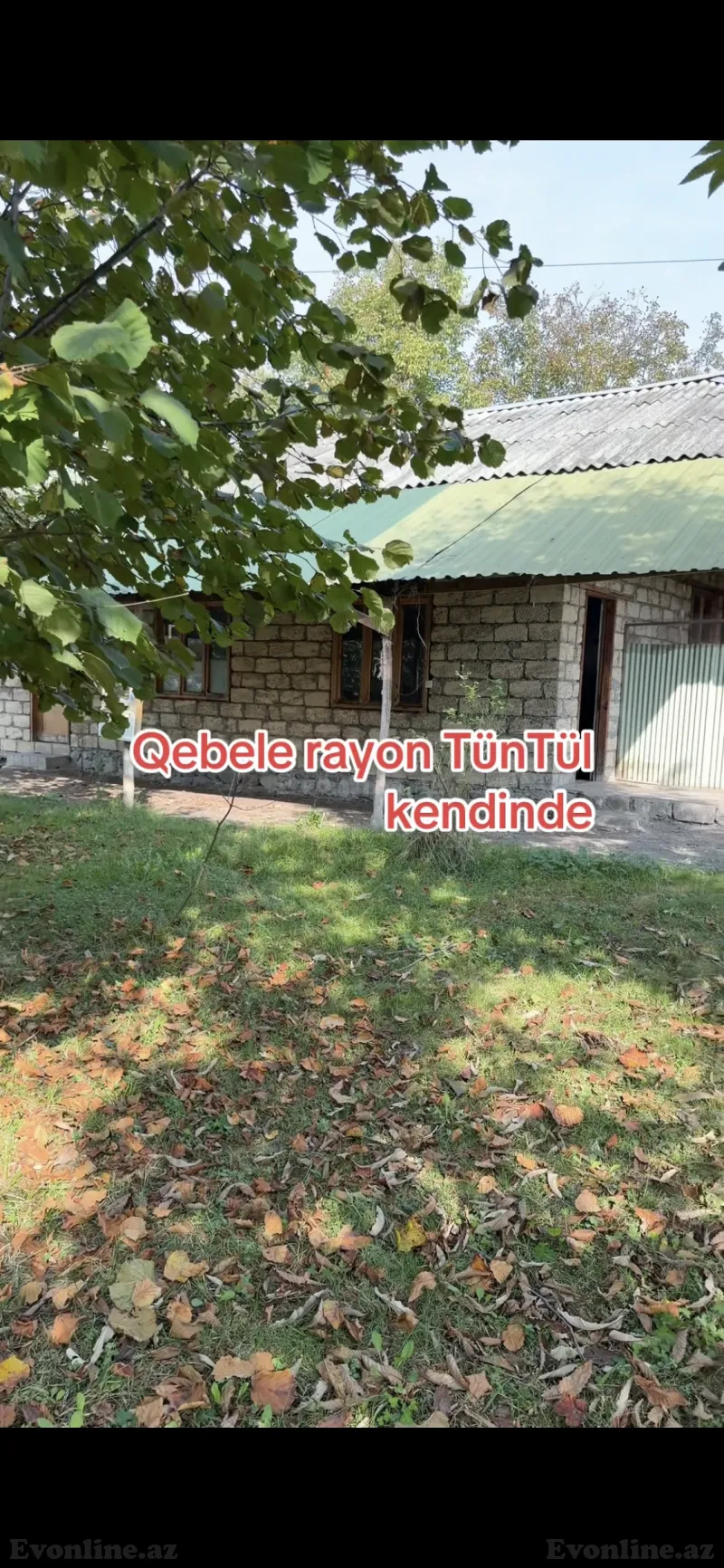 Torpaq satılır — Qəbələ - şəkil 2