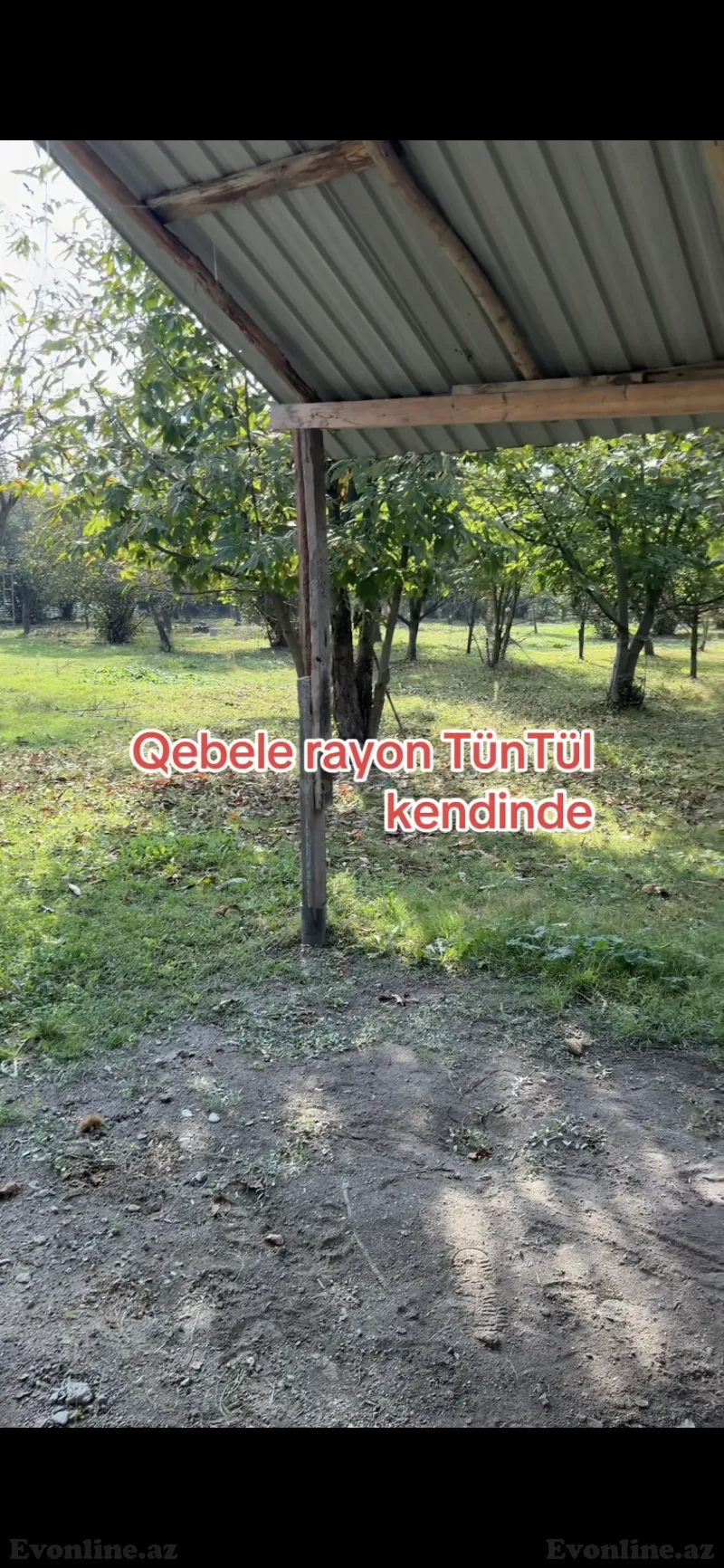 Torpaq satılır — Qəbələ - şəkil 6