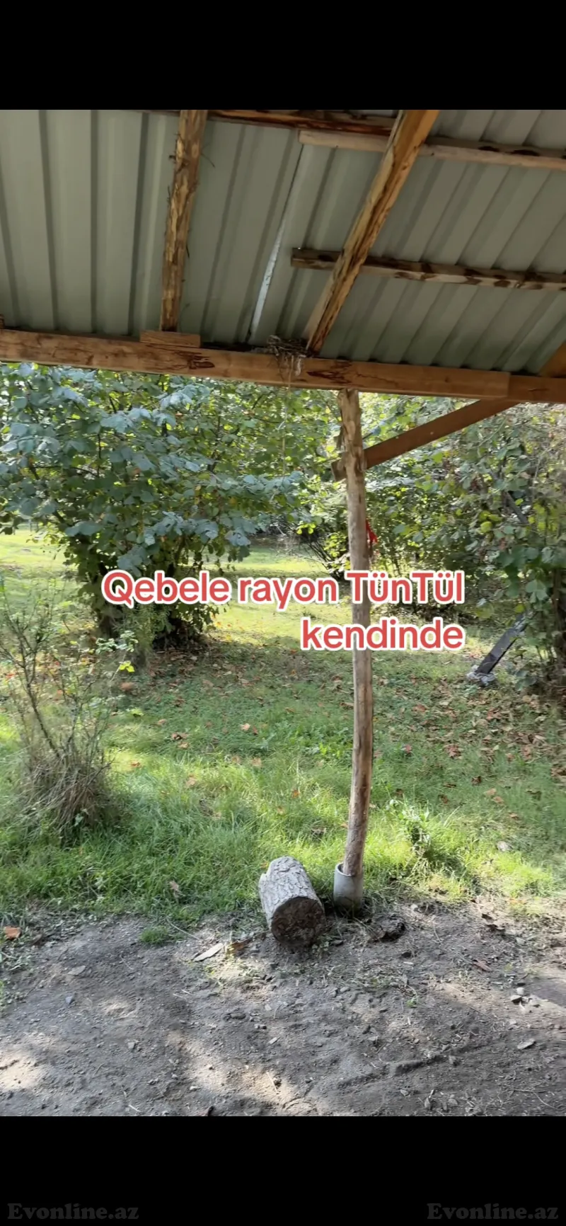 Torpaq satılır — Qəbələ - şəkil 7