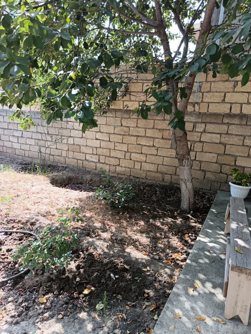 5 otaqlı həyət evi satılır — Masazır, Bakı - şəkil 5